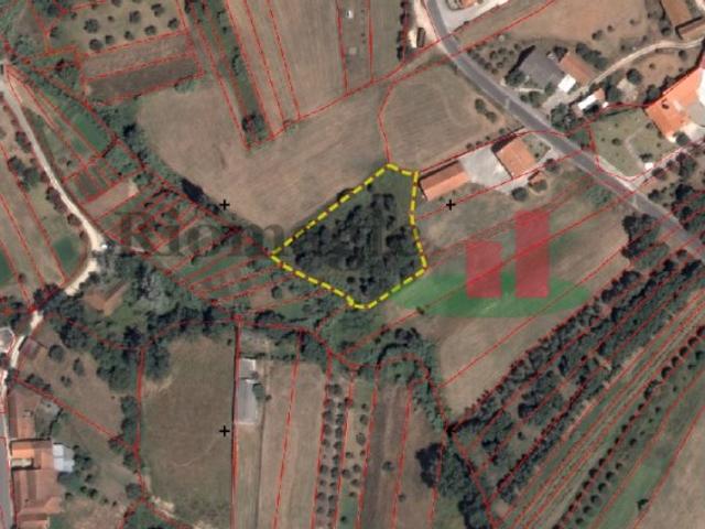 Terreno venda em Valteira, Rio Maior
