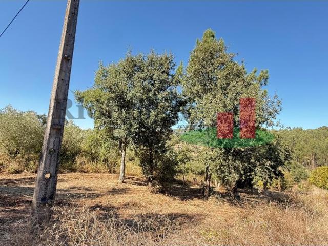 Terreno venda em Rio Maior, Santarém