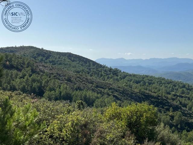 Terreno en venta en l'Alcalatén, Valencia
