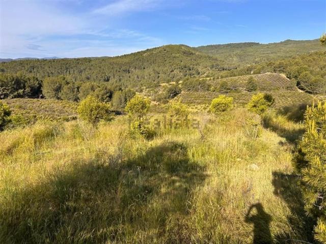 Terreno en venta en l'Alcalatén, Valencia