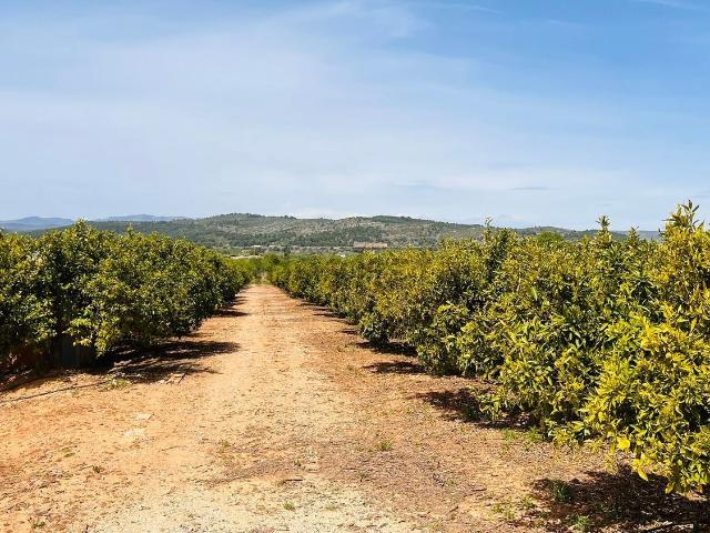 Terreno en venta en el Baix Maestrat, Valencia