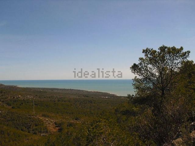 Terreno en venta en el Baix Maestrat, Valencia