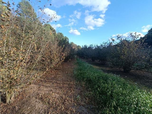 Terreno en venta en Alt Camp, Catalunya