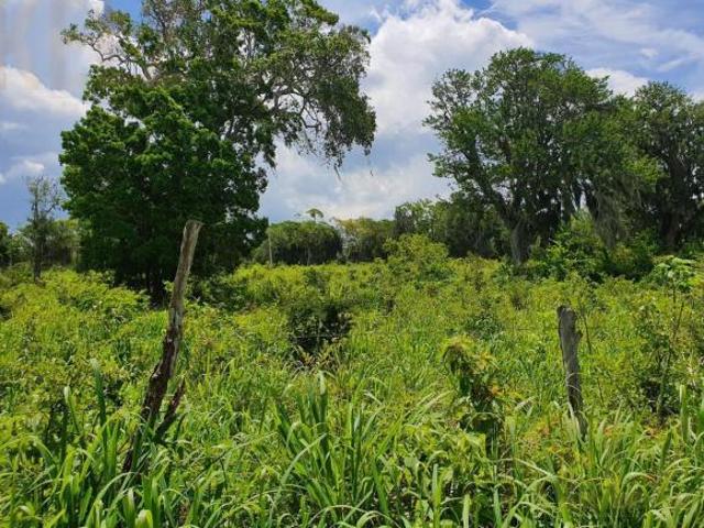 Rancho en venta en Aldama, Tamaulipas