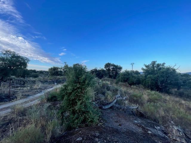 Terreno en venta en Aldea Del Cano, Extremadura