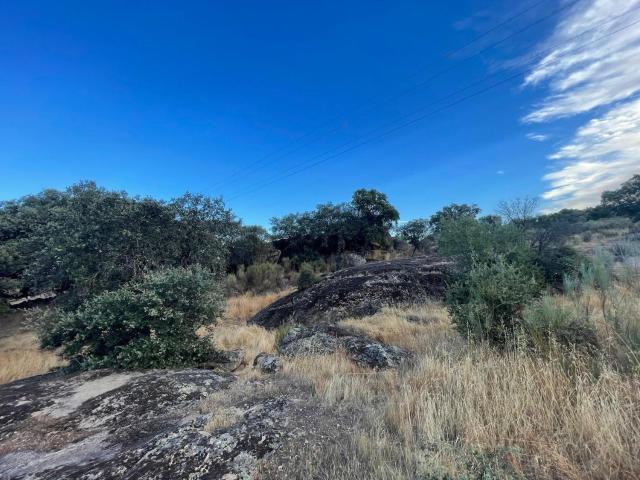 Terreno en venta en Aldea Del Cano, Extremadura