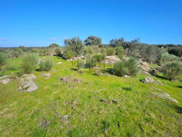 Terreno en venta en Aldea Del Cano, Extremadura
