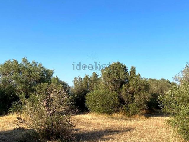 Terreno en venta en Baix Ebre, Catalunya