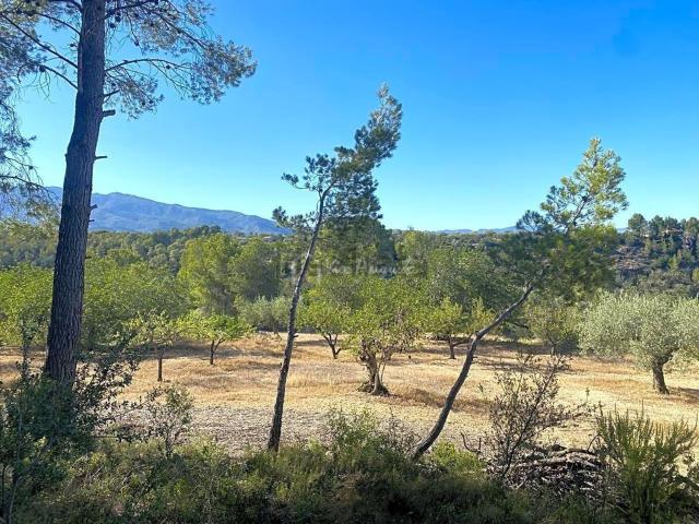 Terreno en venta en Baix Ebre, Catalunya