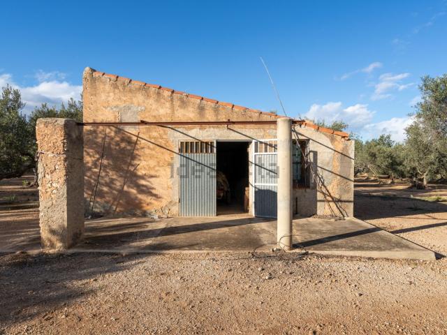 Terreno en venta en Baix Ebre, Catalunya