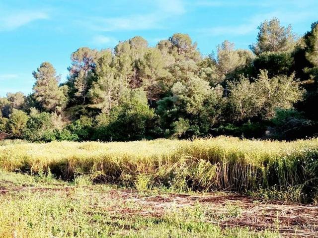 Terreno en venta en Aldover, Tarragona