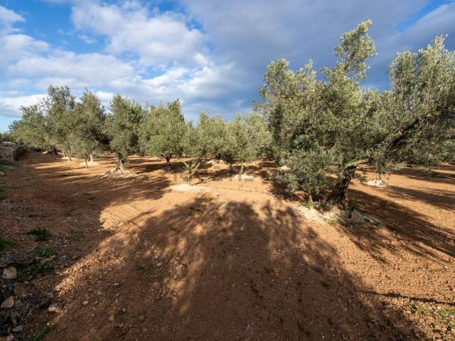 Terreno en venta en Baix Ebre, Catalunya