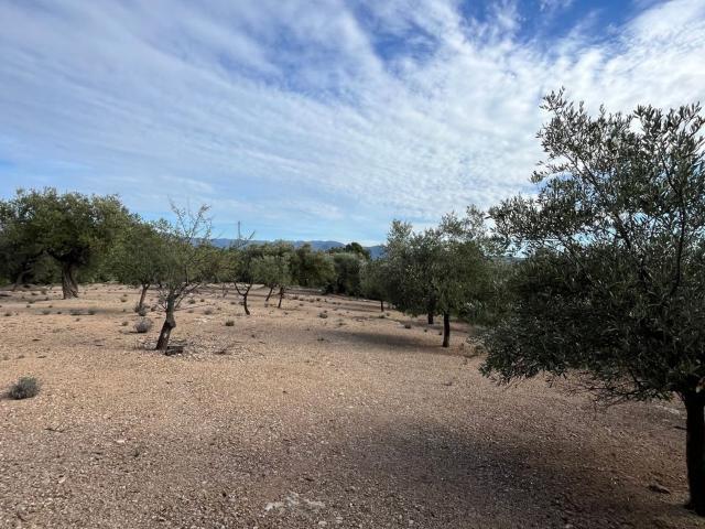 Terreno en venta en Aldover, Tarragona