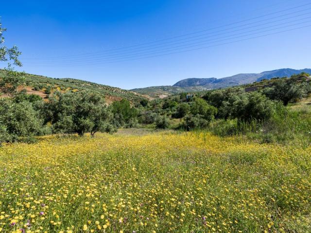 Terreno en venta en Fuente Grande, Comarca de la Vega de Granada
