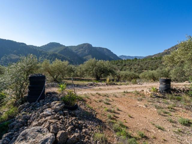 Terreno en venta en Alfara De Carles, Tarragona