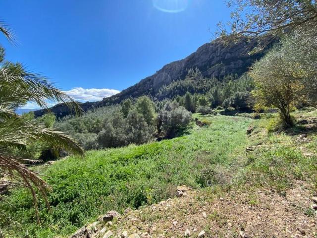 Terreno en venta en Alfara De Carles, Tarragona