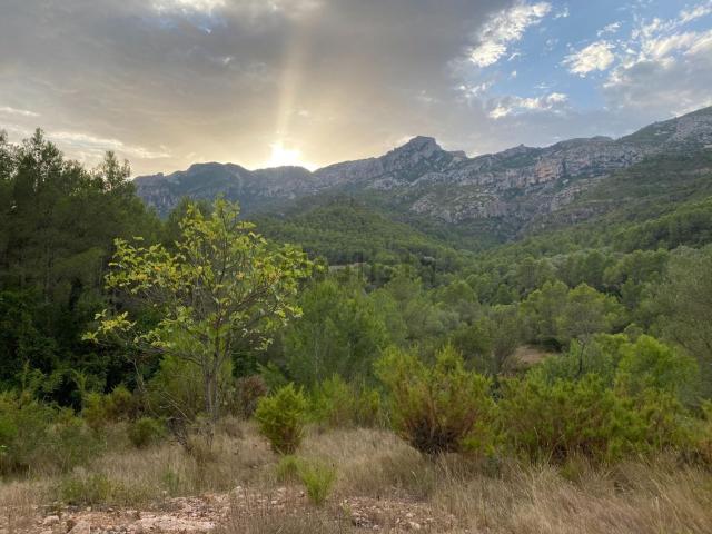 Terreno en venta en Alfara De Carles, Tarragona