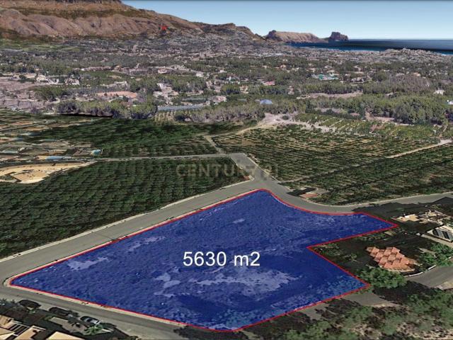 Terreno en venta en Urbanització Belmonte-L'Oasi, la Marina Baixa
