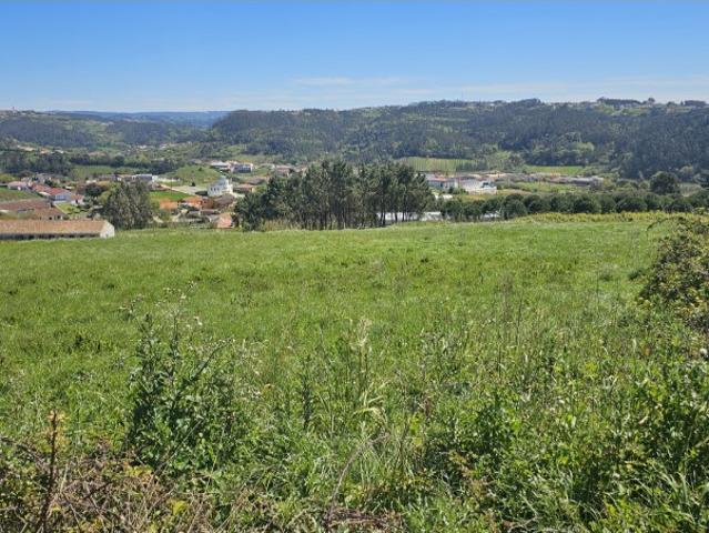 Terreno venda em Alcobaça, Leiria