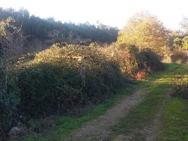 Terreno venda em Valongo, Porto