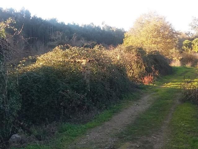 Terreno venda em Ferraria, Valongo
