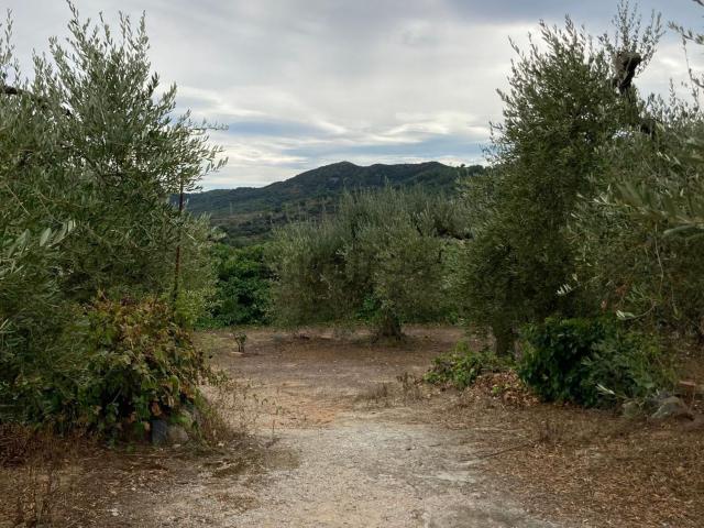 Terreno en venta en Baix Camp, Catalunya