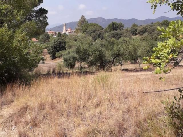 Terreno en venta en Baix Camp, Catalunya