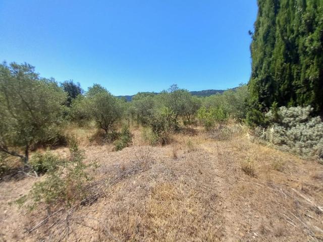 Terreno en venta en Baix Camp, Catalunya