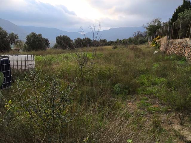 Terreno en alquiler en Baix Camp, Catalunya