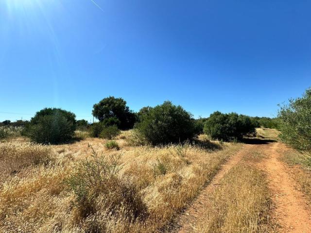 Terreno en venta en Pla de Mallorca, Baleares