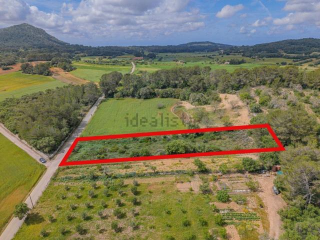 Terreno en venta en Pla de Mallorca, Baleares