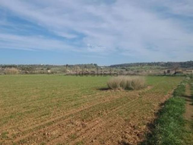 Terreno en venta en Algaida, Illes Balears