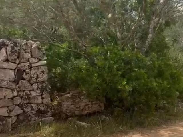 Terreno en venta en Algaida, Illes Balears
