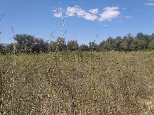 Terreno en venta en Algaida, Illes Balears