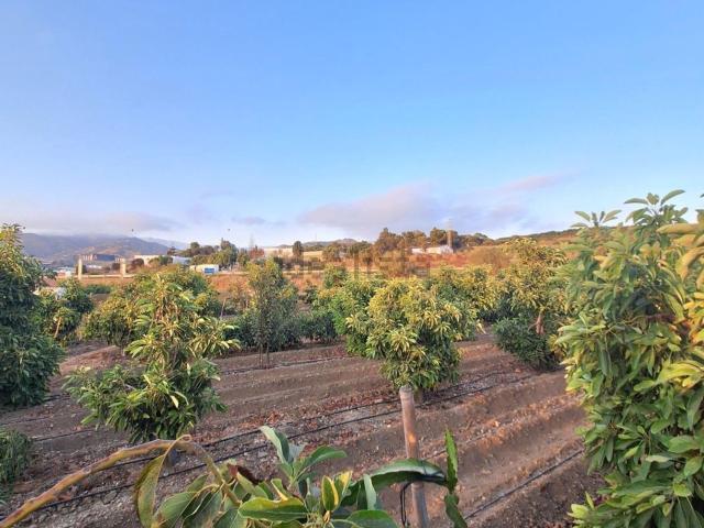 Terreno en venta en Los Llanos, La Axarquía