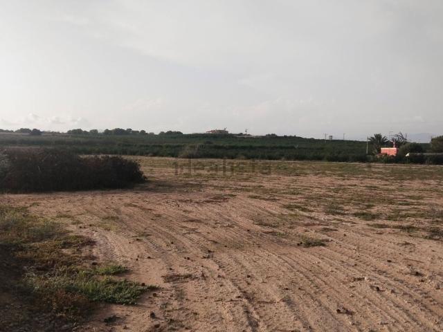 Terreno en venta en Almoradí, Valencia