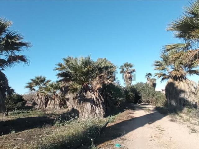 Terreno en venta en Urbanización Lo Crispín, el Baix Segura / La Vega Baja