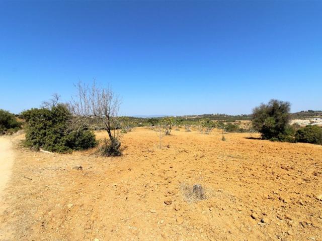 Terreno venda em Algoz, Faro