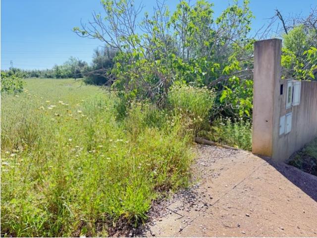 Terreno venda em Amendoais e Cortezães, Tunes