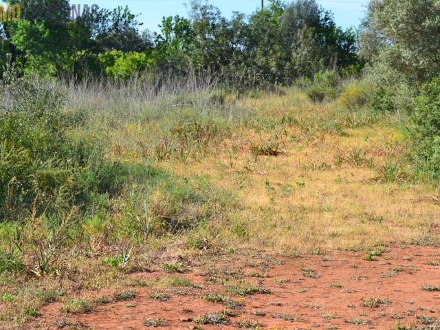 Terreno venda em Algoz, Faro