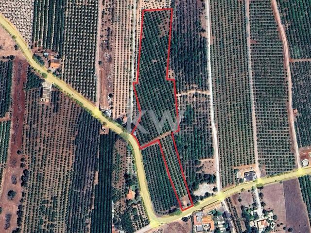 Terreno venda em Algoz, Faro