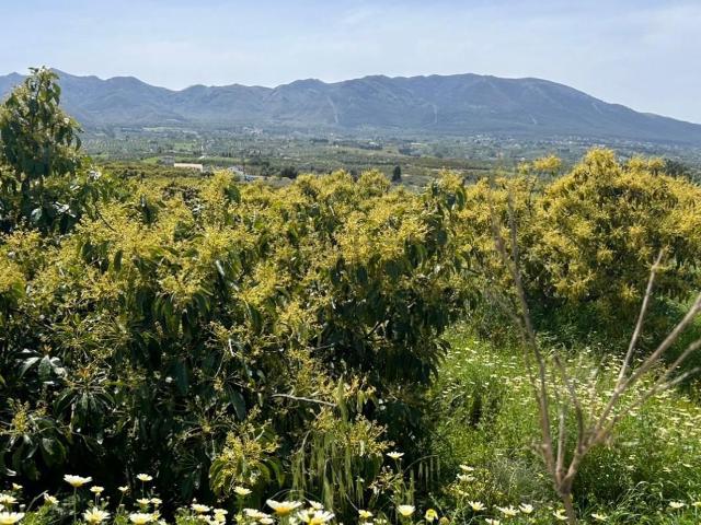 Terreno en venta en Valle del Guadalhorce, Andalucía