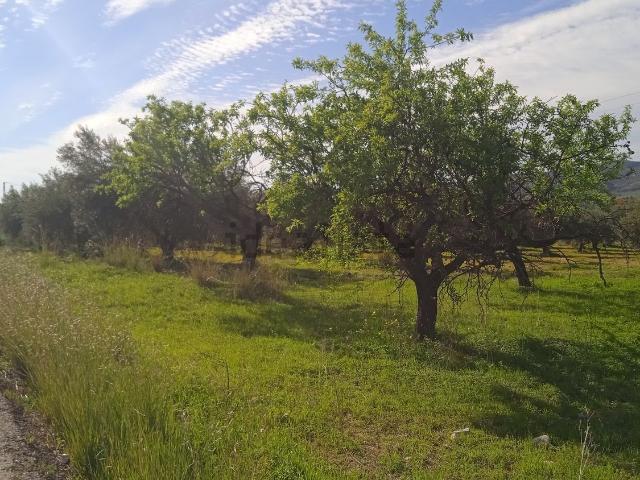 Terreno en venta en Valle del Guadalhorce, Andalucía