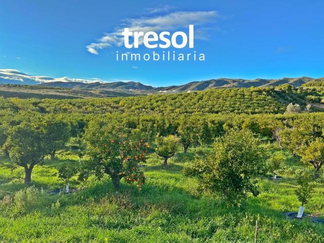 Terreno en venta en Torrealquería, Valle del Guadalhorce