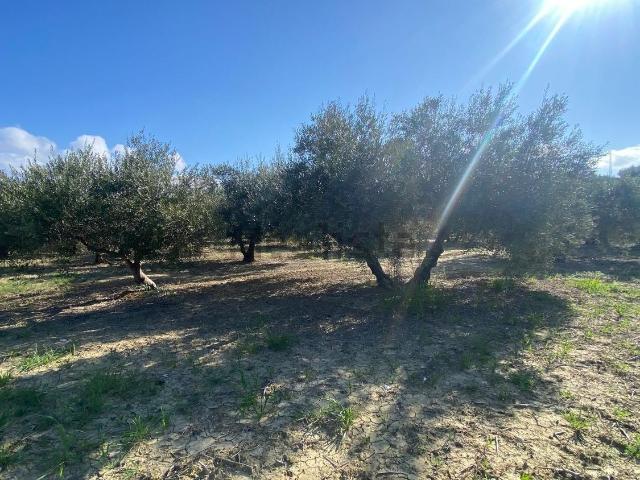 Terreno en venta en El Zángano, Alhaurín el Grande