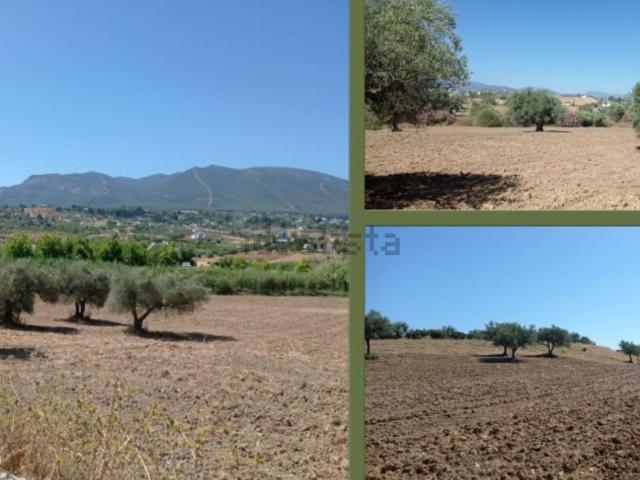 Terreno en venta en El Zángano, Valle del Guadalhorce