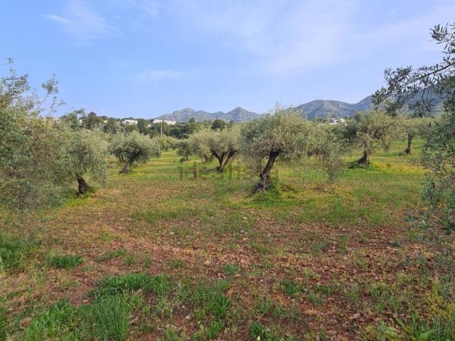 Terreno en venta en Buenavista, Valle del Guadalhorce