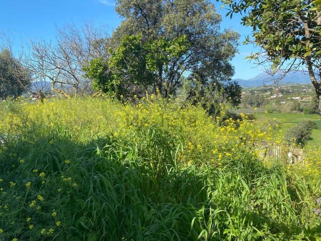 Terreno en venta en Alhaurín el Grande, Málaga