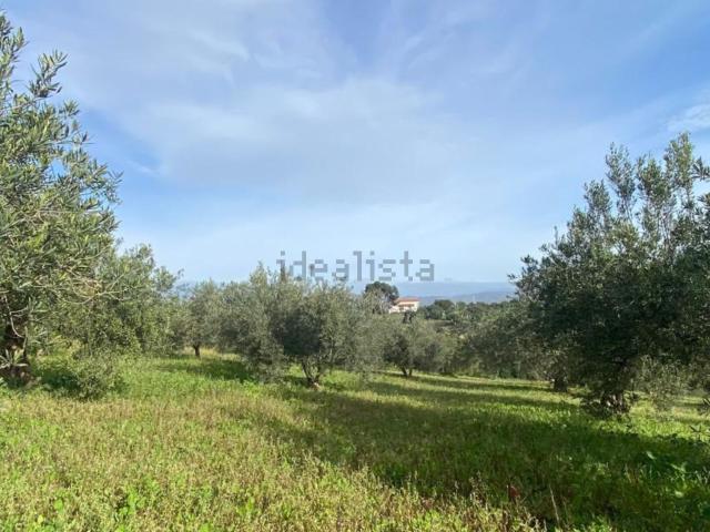 Terreno en venta en Valle del Guadalhorce, Andalucía