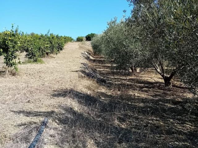 Terreno en venta en Barrio de San Antón, Valle del Guadalhorce